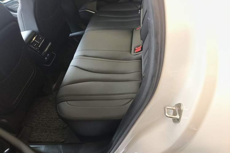 Used Geely Auto Monjaro L 2024 2.0TD DCT EVO Two-Wheel Drive Long-Range Version Left Rear Seat