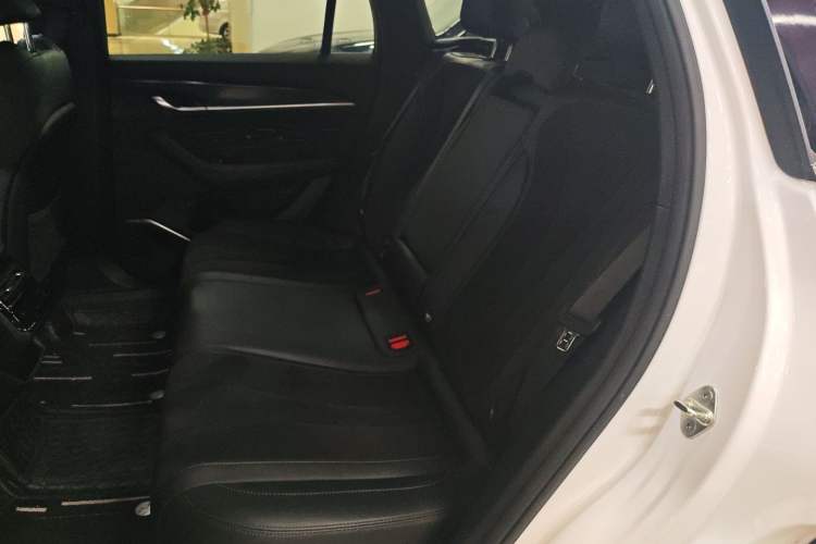 Used Geely Auto Monjaro L 2024 2.0TD High-Power Automatic Two-Wheel Drive Skyline Edition Left Rear Seat