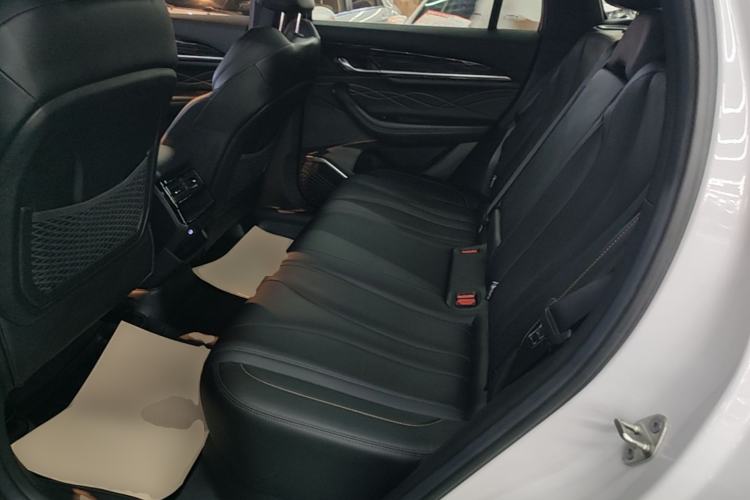Used Geely Auto Monjaro L 2024 2.0TD DCT EVO Two-Wheel Drive Long-Range Version Left Rear Seat