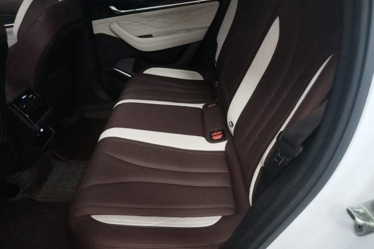 Used Geely Auto Monjaro L 2024 2.0TD High-Power Automatic Two-Wheel Drive Yunqi Version Left Rear Seat