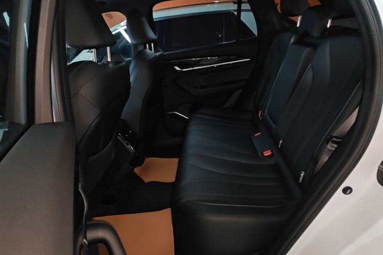 Used Geely Auto Monjaro L 2024 2.0TD DCT EVO Two-Wheel Drive Long-Range Version Left Rear Seat