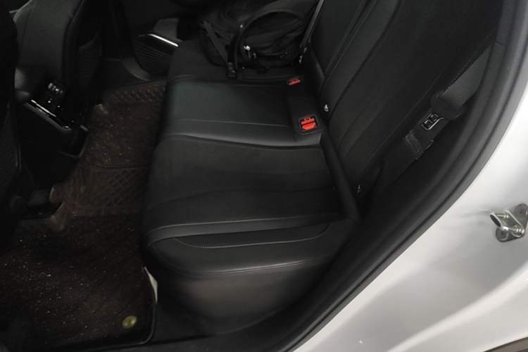 Used Geely Auto Monjaro L 2024 2.0TD High-Power Automatic Two-Wheel Drive Skyline Edition Left Rear Seat