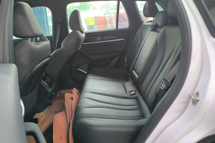 Used Geely Auto Monjaro L 2024 2.0TD DCT EVO Two-Wheel Drive Long-Range Version Left Rear Seat