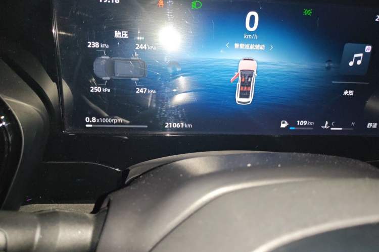 Used Geely Auto Monjaro L 2024 2.0TD High-Power Automatic Two-Wheel Drive Skyline Edition Odometer Close Up