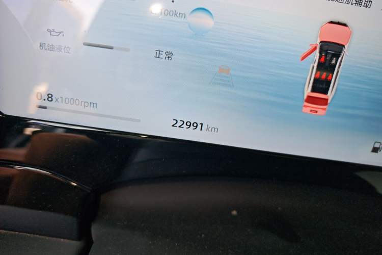 Used Geely Auto Monjaro L 2024 2.0TD DCT EVO Two-Wheel Drive Long-Range Version Odometer Close Up