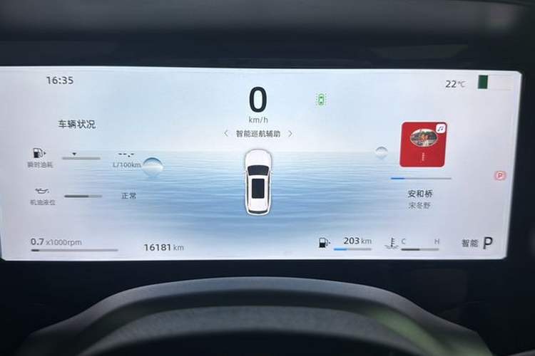 Used Geely Auto Monjaro L 2024 2.0TD DCT EVO Two-Wheel Drive Long-Range Version Odometer Close Up