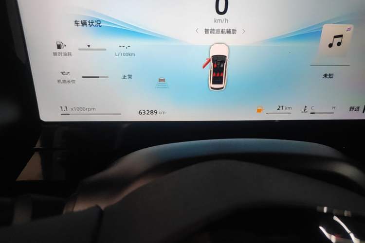 Used Geely Auto Monjaro L 2024 2.0TD High-Power Automatic Two-Wheel Drive Skyline Edition Odometer Close Up
