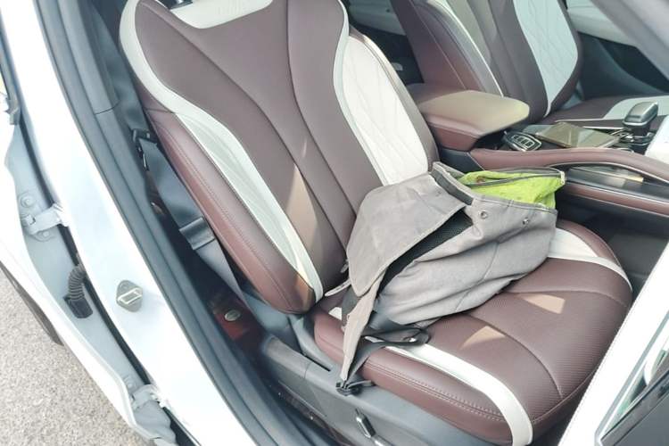Used Geely Auto Monjaro L 2024 2.0TD High-Power Automatic Two-Wheel Drive Yunqi Version Right Front Seat