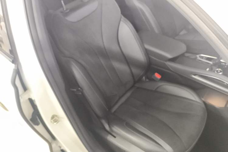 Used Geely Auto Monjaro L 2024 2.0TD High-Power Automatic Two-Wheel Drive Skyline Edition Right Front Seat