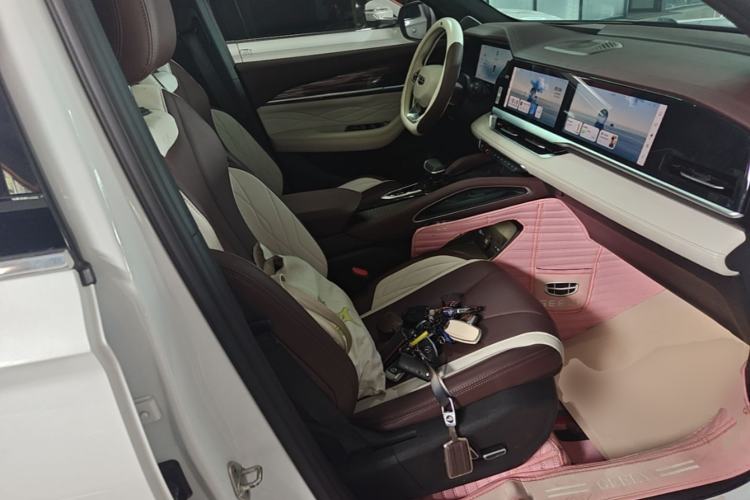 Used Geely Auto Monjaro L 2024 2.0TD High-Power Automatic Two-Wheel Drive Skyline Edition Right Front Seat