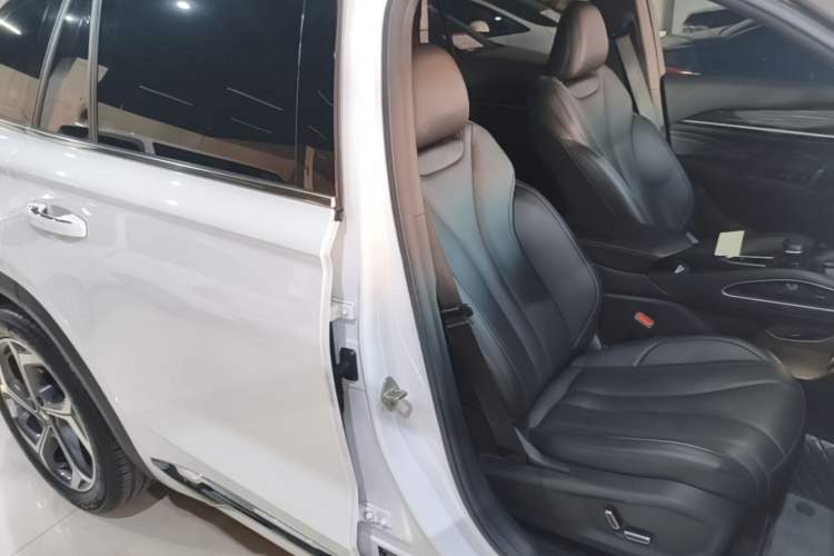 Used Geely Auto Monjaro L 2024 2.0TD DCT EVO Two-Wheel Drive Long-Range Version Right Front Seat