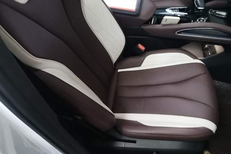 Used Geely Auto Monjaro L 2024 2.0TD High-Power Automatic Two-Wheel Drive Yunqi Version Right Front Seat