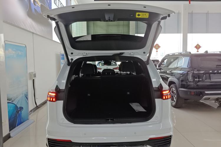 Used Geely Auto Monjaro L 2024 2.0TD High-Power Automatic Two-Wheel Drive Skyline Edition Trunk