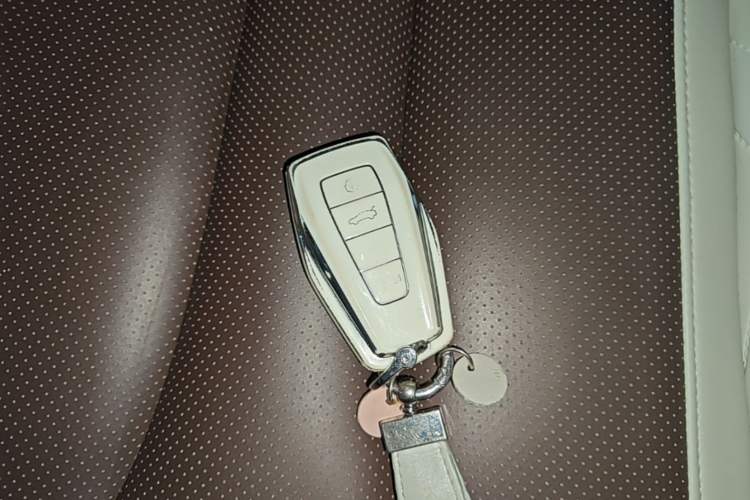 Used Geely Auto Monjaro L 2024 2.0TD High-Power Automatic Two-Wheel Drive Yunqi Version Vehicle Key