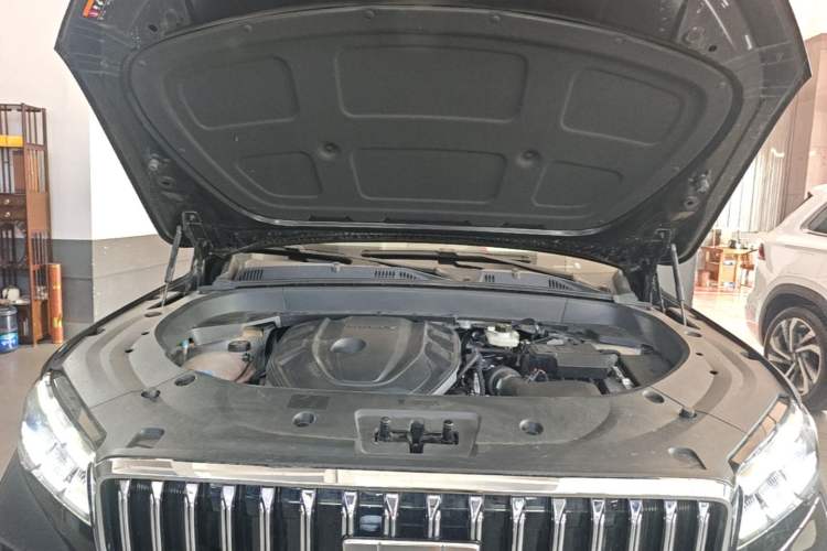 Used Geely Auto Monjaro L 2025 Dongfang Yao 2.0TD Automatic Lanxing Edition Engine Bay