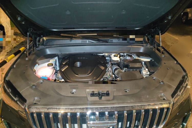 Used Geely Auto Monjaro L 2025 Dongfang Yao 2.0TD Automatic Lanxing Edition Engine Bay