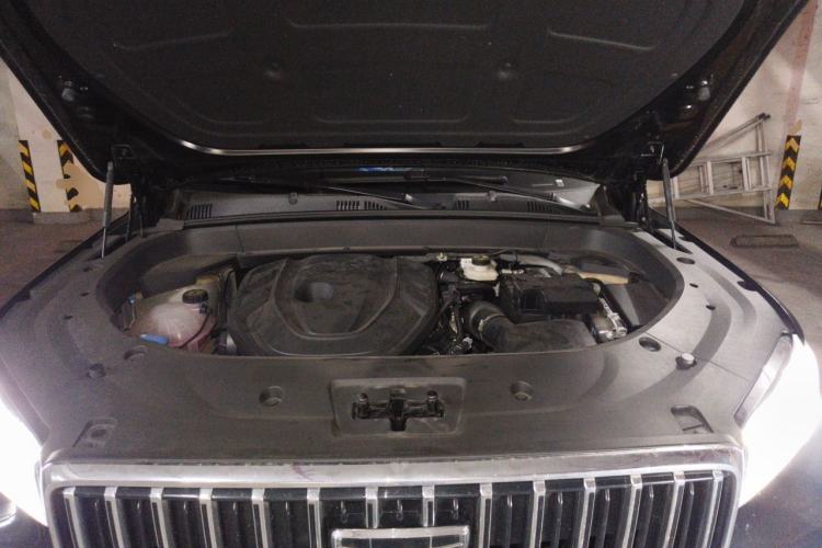 Used Geely Auto Monjaro L 2025 Dongfang Yao 2.0TD Automatic Lanxing Edition Engine Bay