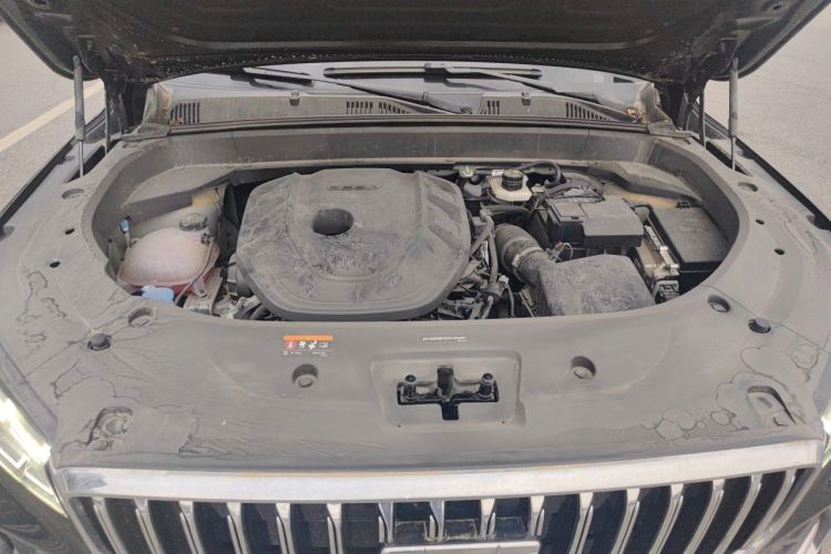 Used Geely Auto Monjaro L 2025 Dongfang Yao 2.0TD Automatic Lanxing Edition Engine Bay