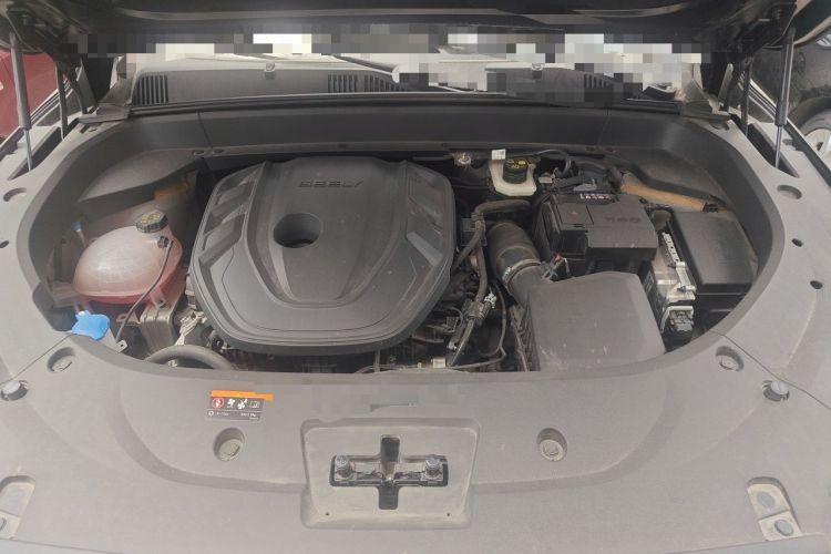 Used Geely Auto Monjaro L 2025 Dongfang Yao 2.0TD Automatic Lanxing Edition Engine Bay