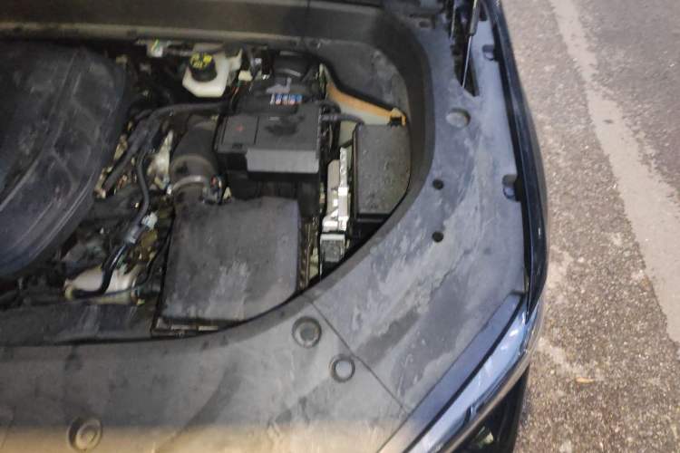 Used Geely Auto Monjaro L 2025 Dongfang Yao 2.0TD Automatic Lanxing Edition Engine Bay Left