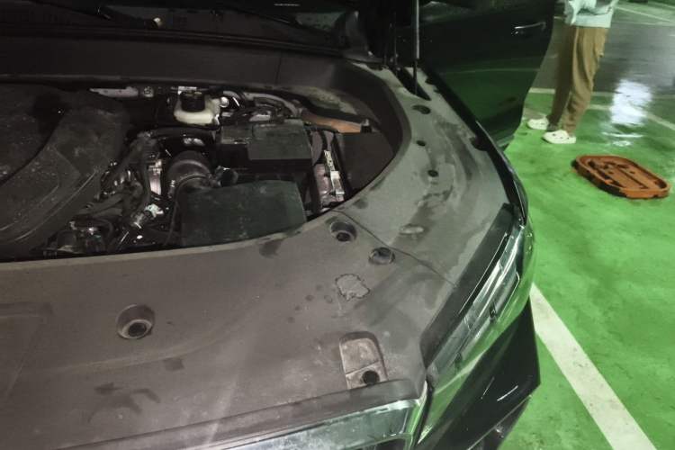 Used Geely Auto Monjaro L 2025 Dongfang Yao 2.0TD Automatic Jinzhao Edition Engine Bay Left