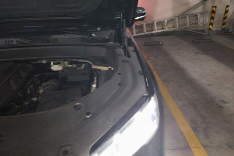 Used Geely Auto Monjaro L 2025 Dongfang Yao 2.0TD Automatic Lanxing Edition Engine Bay Left
