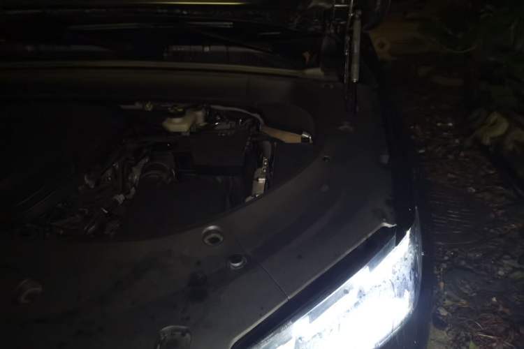 Used Geely Auto Monjaro L 2025 2.0TD Automatic Xingyun Version Engine Bay Left