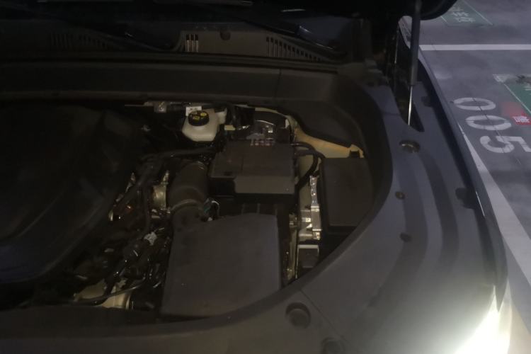 Used Geely Auto Monjaro L 2025 Dongfang Yao 2.0TD Automatic Lanxing Edition Engine Bay Left