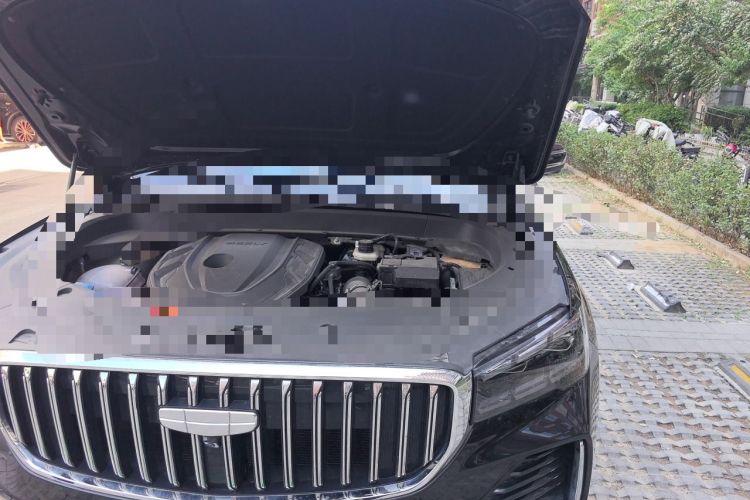 Used Geely Auto Monjaro L 2025 Dongfang Yao 2.0TD Automatic Lanxing Edition Engine Bay Left