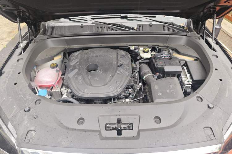 Used Geely Auto Monjaro L 2025 Dongfang Yao 2.0TD Automatic Lanxing Edition Engine Bay