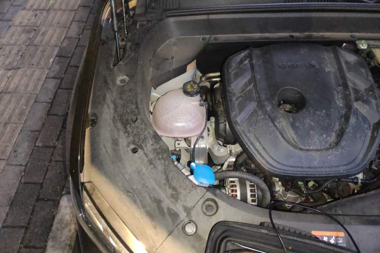 Used Geely Auto Monjaro L 2025 Dongfang Yao 2.0TD Automatic Lanxing Edition Engine Bay Right