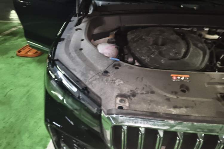 Used Geely Auto Monjaro L 2025 Dongfang Yao 2.0TD Automatic Jinzhao Edition Engine Bay Right