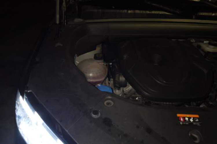 Used Geely Auto Monjaro L 2025 2.0TD Automatic Xingyun Version Engine Bay Right