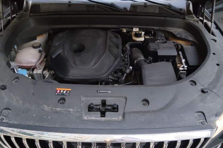 Used Geely Auto Monjaro L 2025 Dongfang Yao 2.0TD Automatic Lanxing Edition Engine Bay