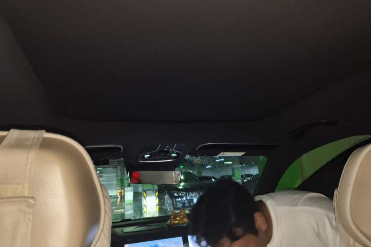 Used Geely Auto Monjaro L 2025 Dongfang Yao 2.0TD Automatic Jinzhao Edition Headliner
