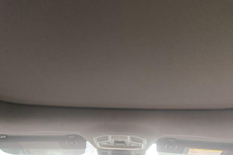 Used Geely Auto Monjaro L 2025 Dongfang Yao 2.0TD Automatic Lanxing Edition Headliner