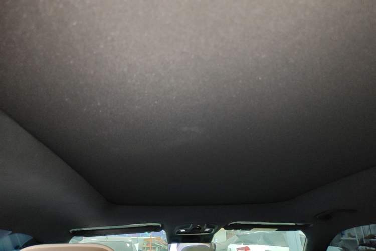 Used Geely Auto Monjaro L 2025 Dongfang Yao 2.0TD Automatic Jinzhao Edition Headliner