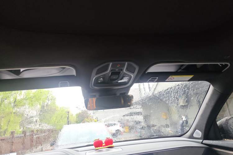 Used Geely Auto Monjaro L 2025 Dongfang Yao 2.0TD Automatic Lanxing Edition Headliner