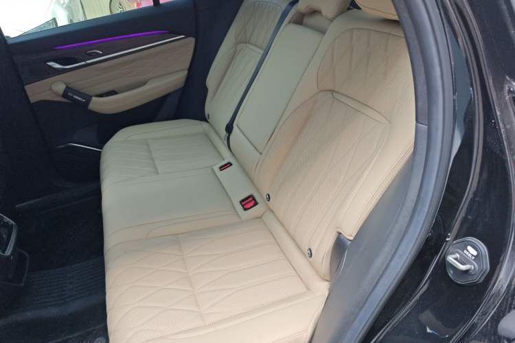 Used Geely Auto Monjaro L 2025 Dongfang Yao 2.0TD Automatic All-Wheel-Drive Wangyue Edition Left Rear Seat