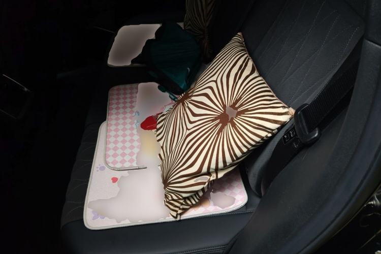 Used Geely Auto Monjaro L 2025 Dongfang Yao 2.0TD Automatic Lanxing Edition Left Rear Seat