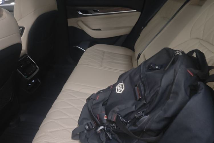 Used Geely Auto Monjaro L 2025 Dongfang Yao 2.0TD Automatic Lanxing Edition Left Rear Seat