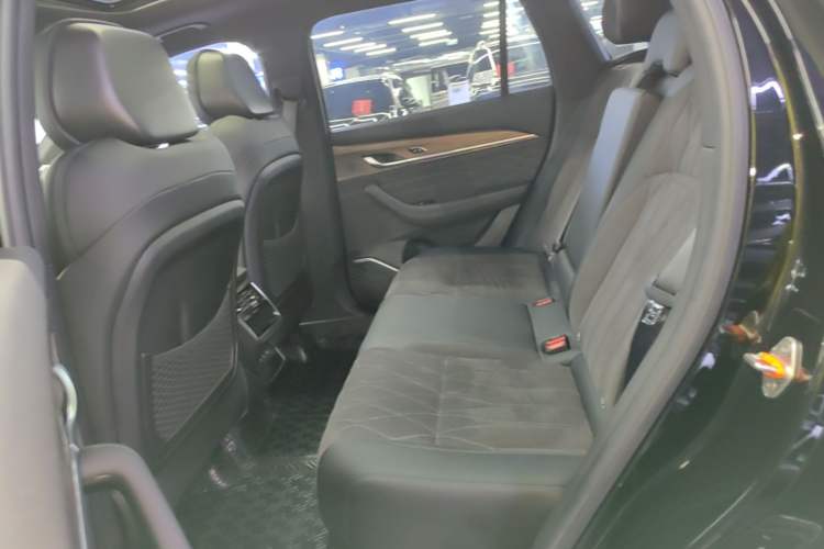 Used Geely Auto Monjaro L 2025 Dongfang Yao 2.0TD Automatic Lanxing Edition Left Rear Seat