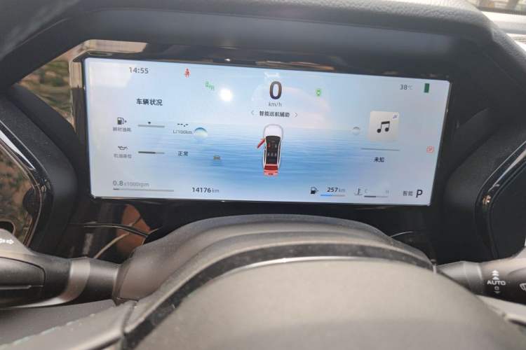 Used Geely Auto Monjaro L 2025 Dongfang Yao 2.0TD Automatic Lanxing Edition Odometer Close Up