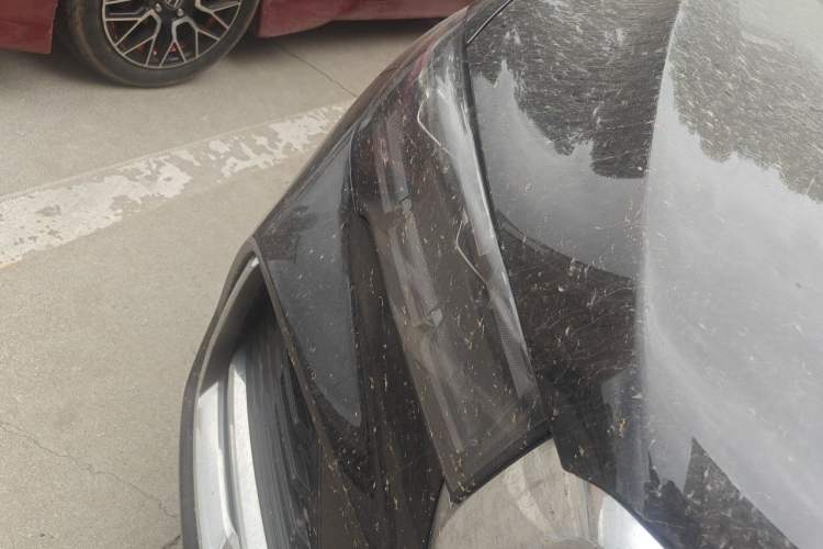 Used Geely Auto Monjaro L 2025 Dongfang Yao 2.0TD Automatic Lanxing Edition Right Front Headlight