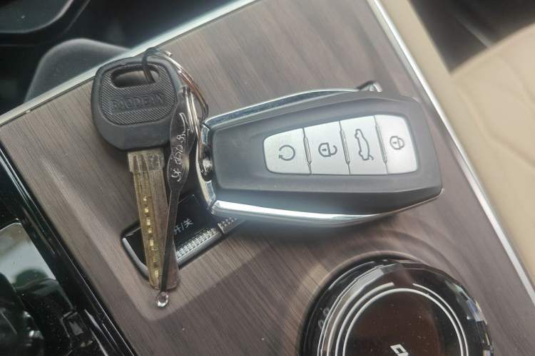 Used Geely Auto Monjaro L 2025 Dongfang Yao 2.0TD Automatic Lanxing Edition Vehicle Key