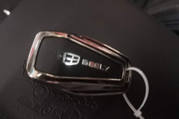 Used Geely Auto Monjaro L 2025 Dongfang Yao 2.0TD Automatic All-Wheel-Drive Wangyue Edition Vehicle Key