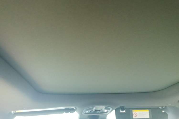 Used Geely Auto Monjaro L 2025 Dongfang Yao 2.0TD Automatic All-Wheel-Drive Wangyue Edition Headliner