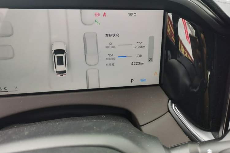 Used Geely Auto Monjaro L 2025 Dongfang Yao 2.0TD Automatic All-Wheel-Drive Wangyue Edition Odometer Close Up