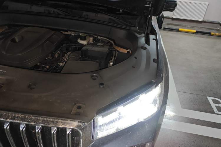 Used Geely Auto Monjaro L 2025 Dongfang Yao 2.0TD Automatic Lanxing Edition Engine Bay Left