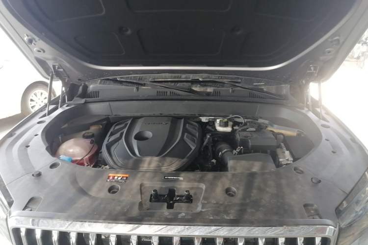 Used Geely Auto Monjaro L 2025 Dongfang Yao 2.0TD Automatic Lanxing Edition Engine Bay